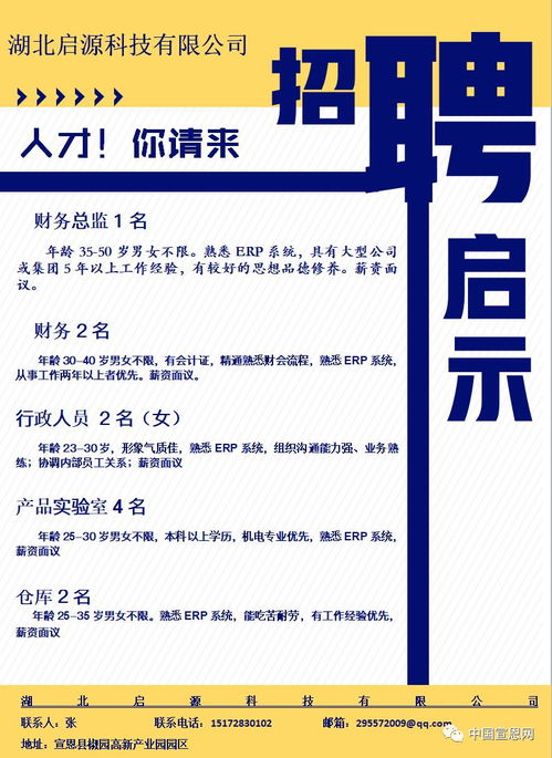 財(cái)務(wù)部門(mén) 企業(yè)穩(wěn)健運(yùn)營(yíng)的核心支柱——從招聘需求看財(cái)務(wù)管理的重要性